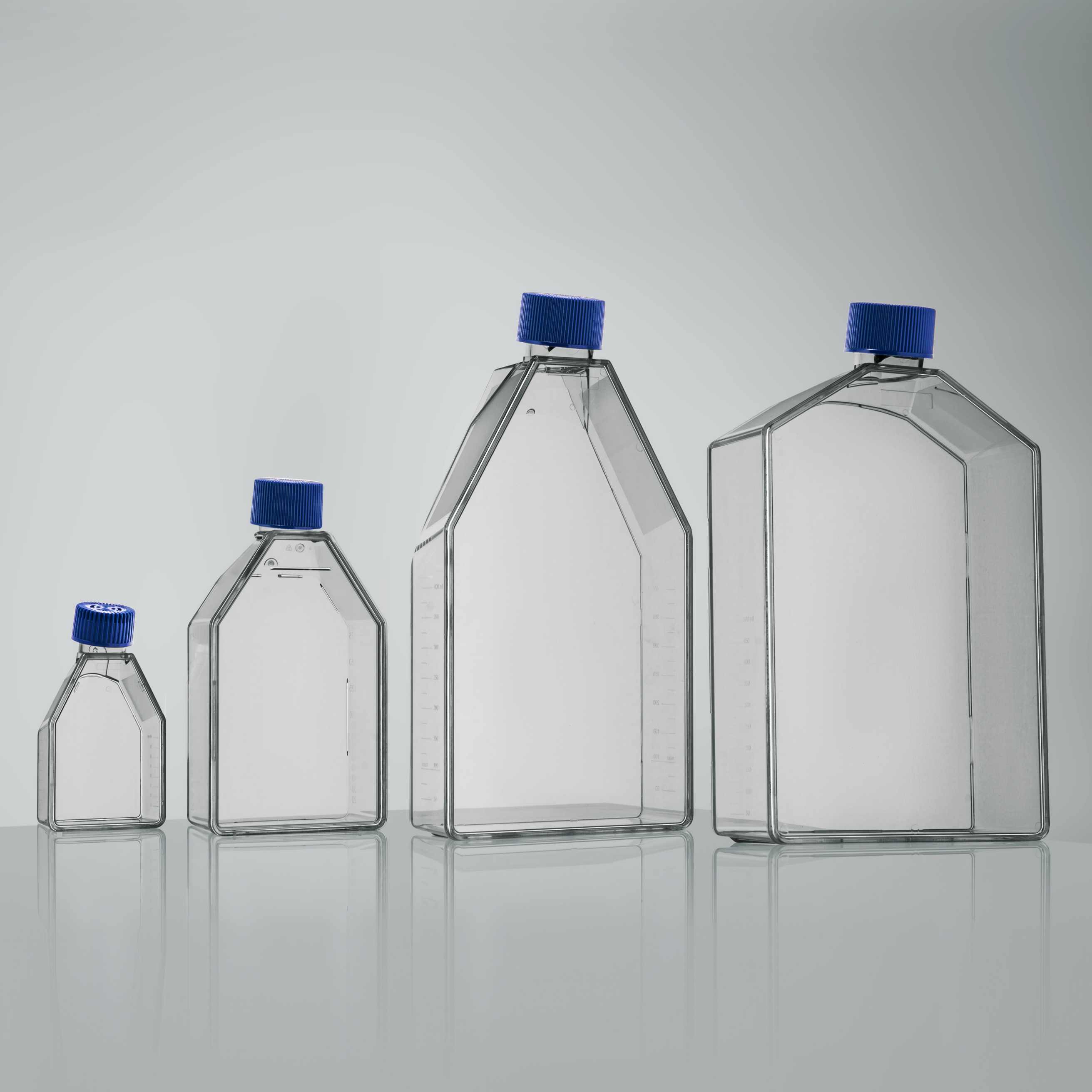 Cell Culture Flasks